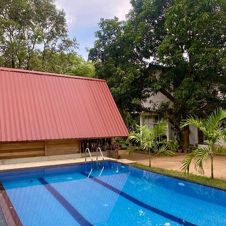 Habarana New Star Homestay Esterno foto