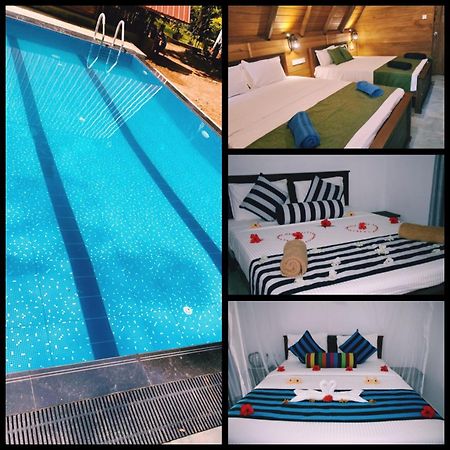 Habarana New Star Homestay Esterno foto