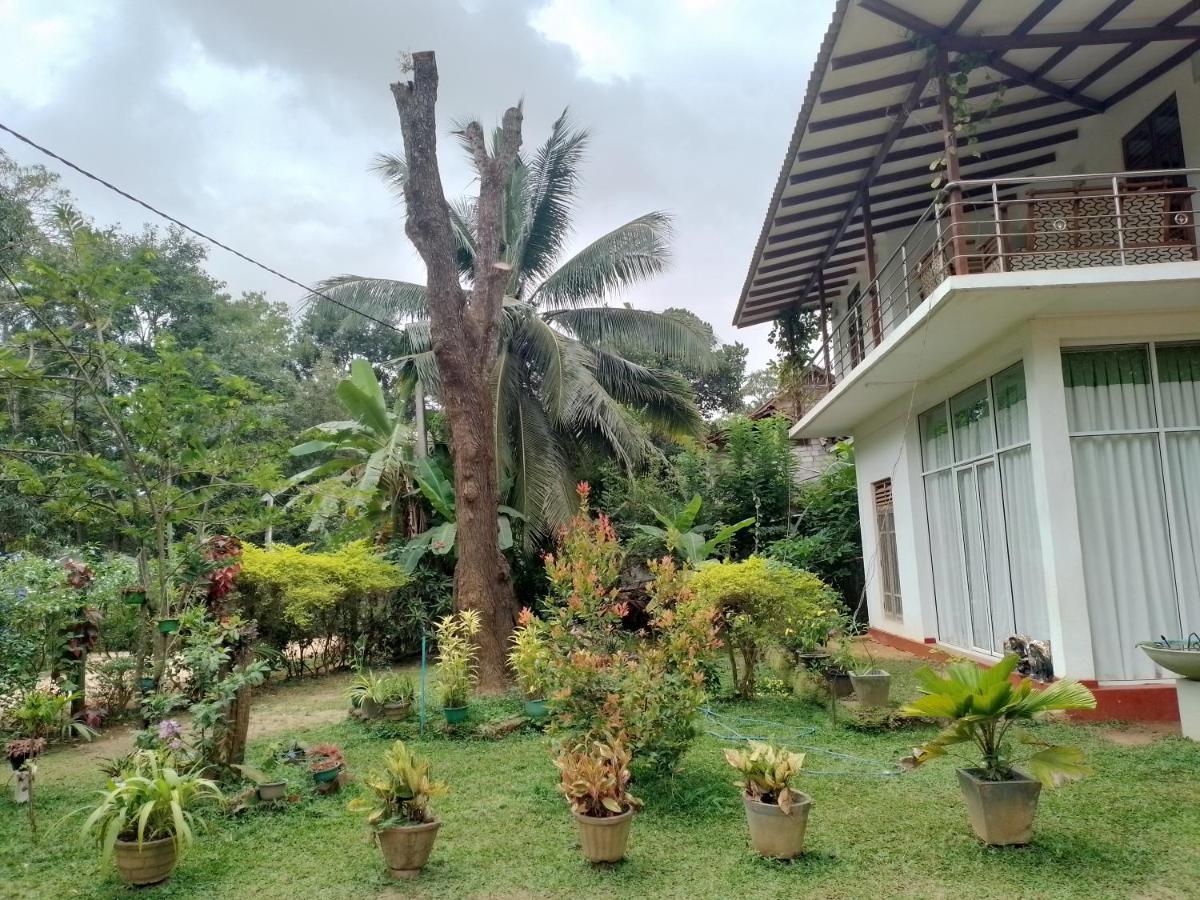 Habarana New Star Homestay Esterno foto